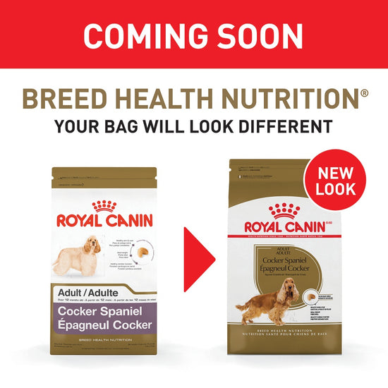 Royal Canin  Breed Health Nutrition Cocker Spaniel Adult Dry Dog Food