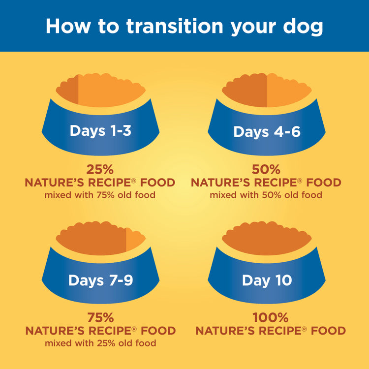 Nature's Recipe Grain-Free Salmon, Sweet Potato & Pumpkin Recipe Dry Dog Food