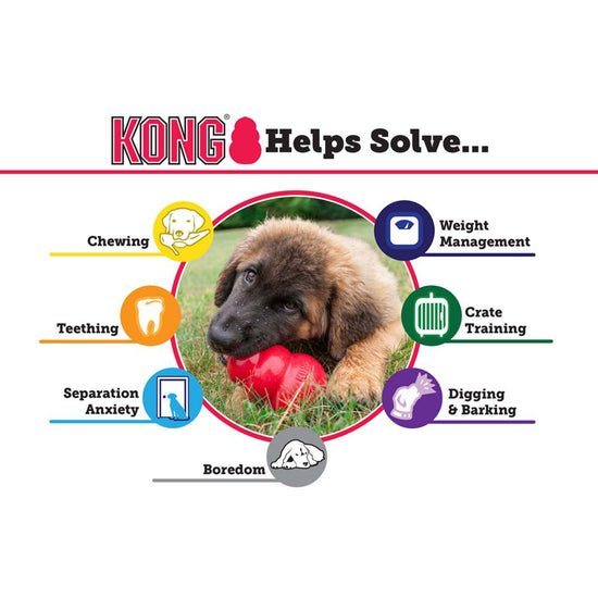 KONG Puppy Toy