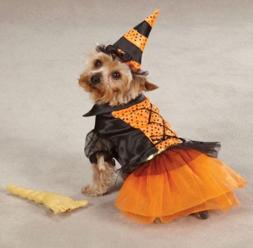 Spellhound Dog  Costume