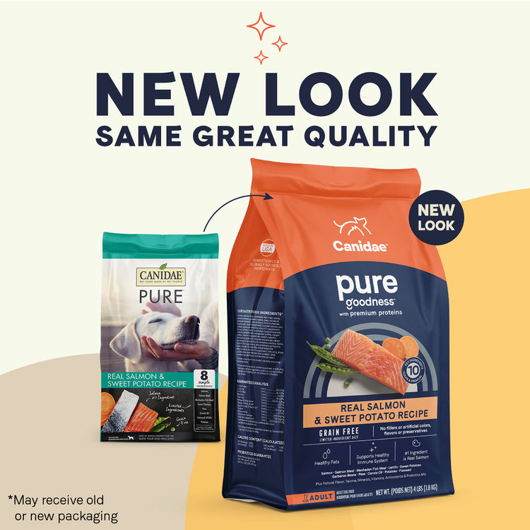 Canidae Grain Free PURE Salmon & Sweet Potato Recipe Dry Dog Food