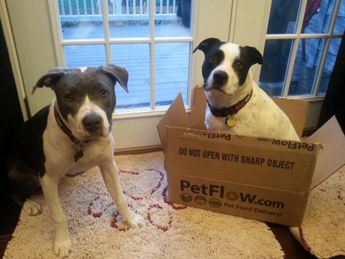 Dog Gone Smart Dirty Dog Large Doormats