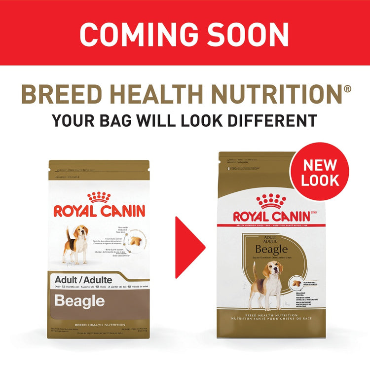 Royal Canin Breed Health Nutrition Beagle Adult Dry Dog Food