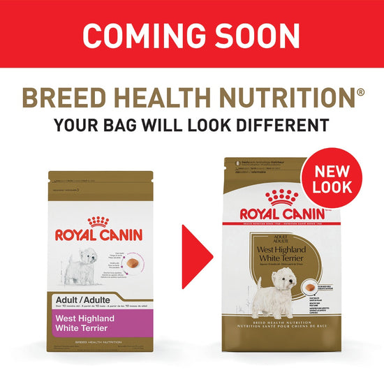 Royal Canin Breed Health Nutrition West Highland White Terrier Dry Dog Food