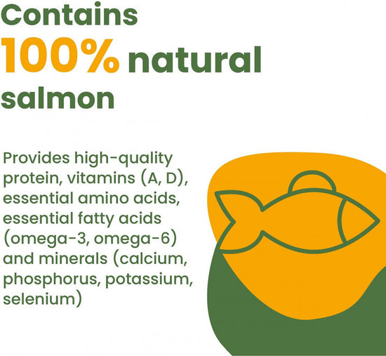 Almo Nature HQS Natural Cat Grain Free Salmon In Broth Canned Cat Food
