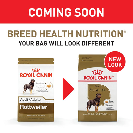 Royal Canin Breed Health Nutrition Rottweiler Adult Dry Dog Food