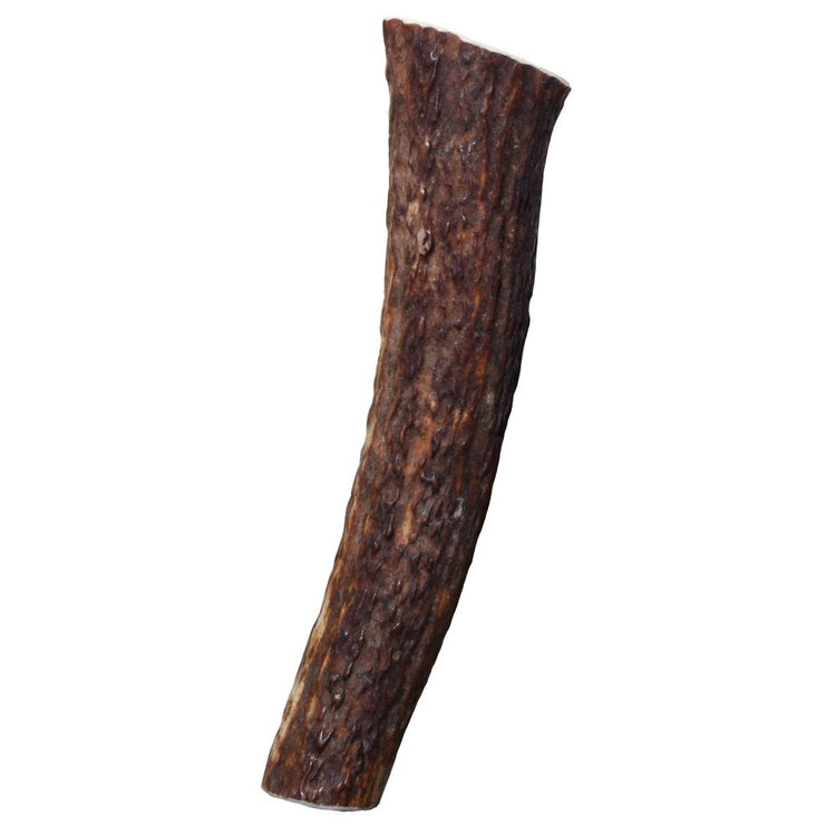 KONG Wild All-Natural Whole Elk Antler for Dogs