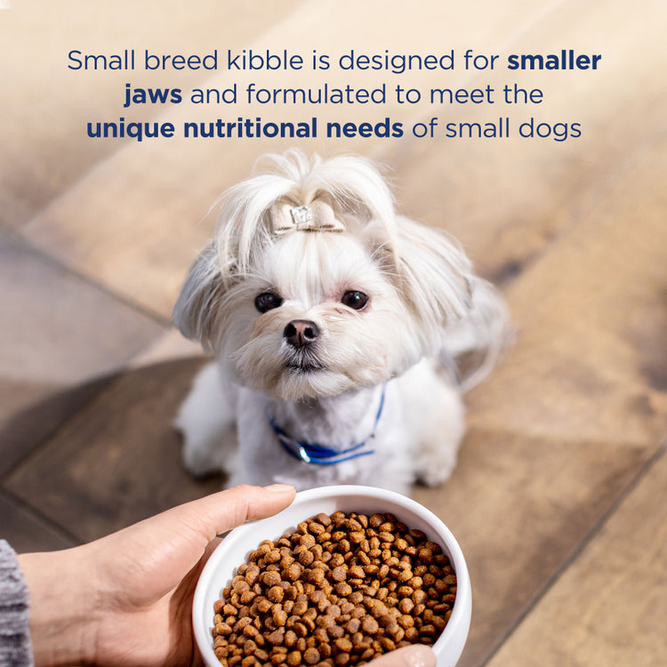 Natural Balance L.I.D. Limited Ingredient Diets Grain Free Adult Sweet Potato & Chicken Small Breed Bites Dry Dog Food