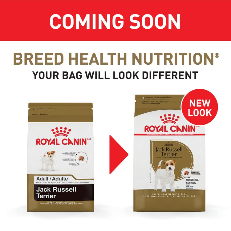 Royal Canin Breed Health Nutrition Adult Jack Russell Terrier Dry Dog Food