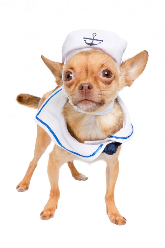 Pet Krewe Sailor Dog Costume
