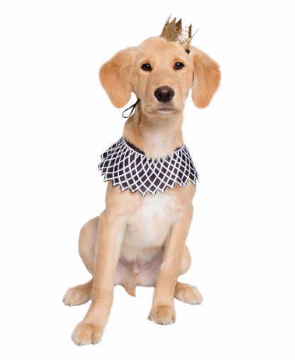 Pet Krewe Notorious D.O.G Dog Costume