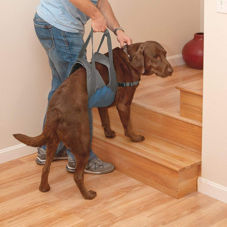 Kurgo Up & About Dog Lifter Support Harness