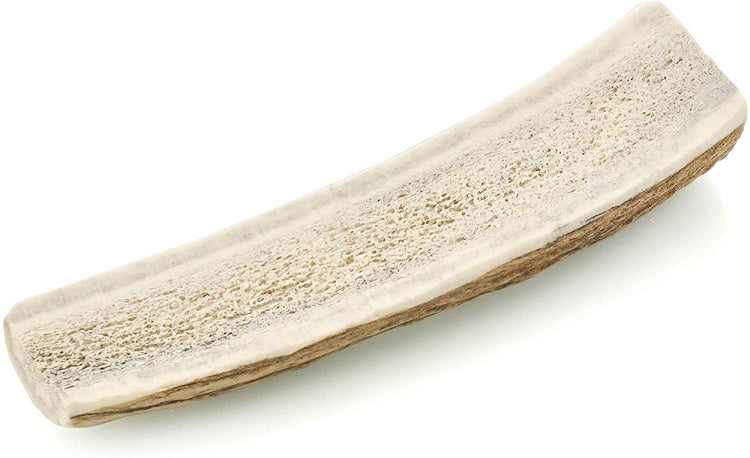 Barkworthies Split Elk Antler Dog Chew for Puppies & Small Breed Dogs