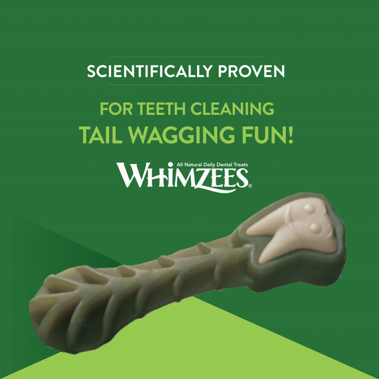 Whimzees Daily Use Brushzees Small Pack Dental Dog Treats