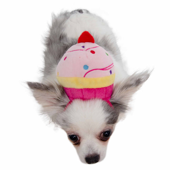Pet Krewe Cupcake Hat Costume for Cats & Dogs