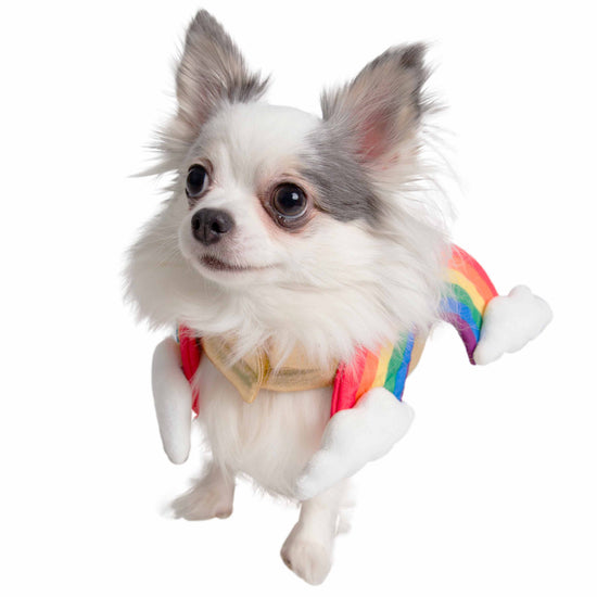 Pet Krewe Rainbow Costume for Cats & Dogs