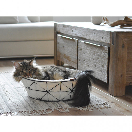 BeOneBreed Metal Wire Cat Basket & Foam Cushion