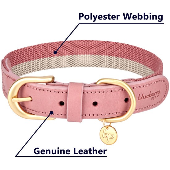 Blueberry Pet Polyester Fabric Webbing and Soft Genuine Leather Dog Collar in Pink and Grey, Priyanka Chopra's Wedding Registry Picks