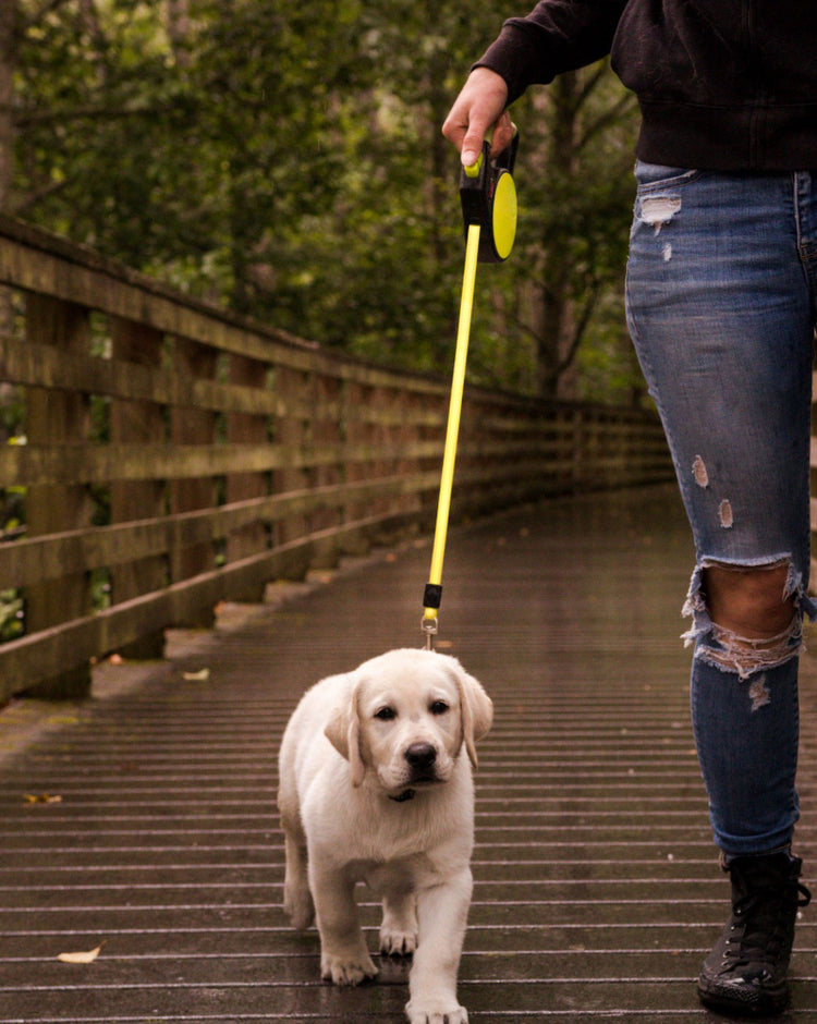 Wigzi Gel Handle Reflective Tape Yellow Retractable Dog Leash