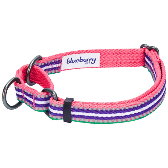 Blueberry Pet 3M Reflective Stripe Heavy Duty Training Martingale Dog Collar, Pink Emerald and Orchid
