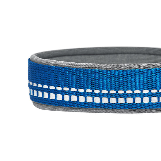 Blueberry Soft & Comfy 3M Reflective Navy Padded Dog Collar