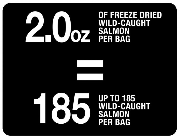 PureBites Salmon Freeze Dried Cat Treats