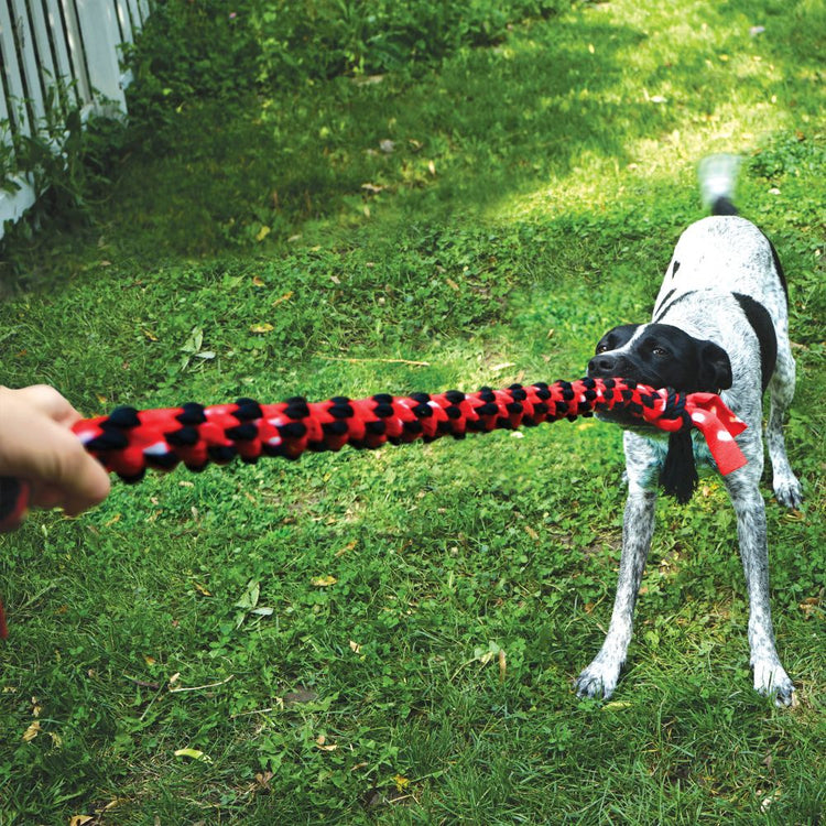 KONG Signature Rope Double Ring Tug Dog Toy