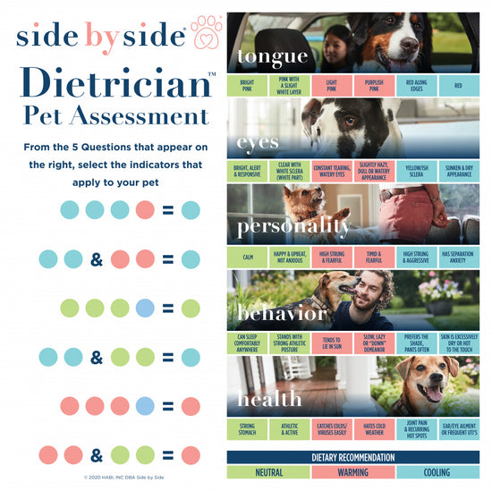 Side By Side Belly Balance Supplement for Prebiotic & Probiotic Digestive Support Capsules Dog Supplements