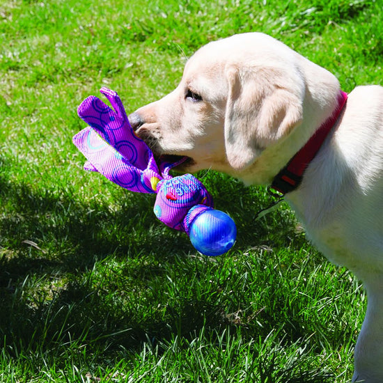 KONG Wubba Cosmos Dog Toy   (Color Varies)