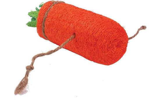 A & E Nibbles Loofah Carrot Small Animal Toy