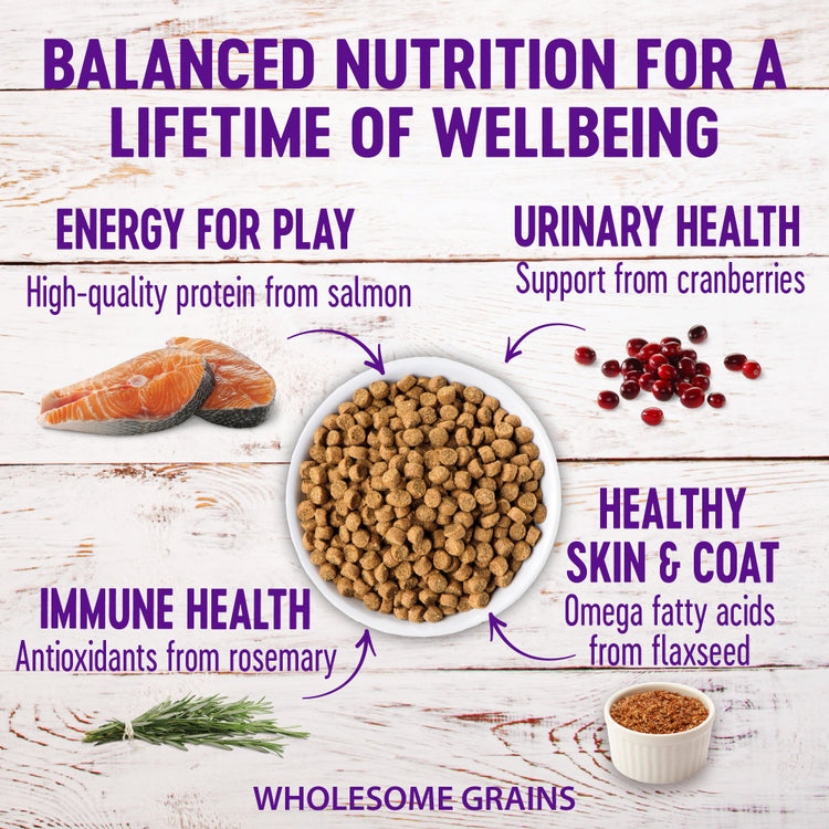 Wellness Complete Health Adult Health Salmon & Salmon Meal Recipe Dry Cat Food