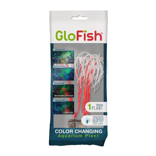 GloFish Color Changing Plant Orange