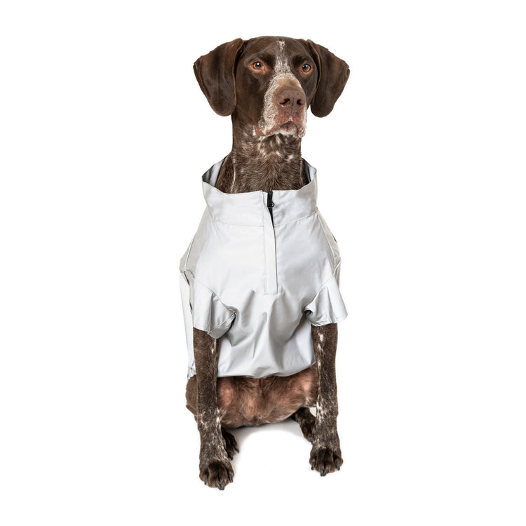 Canada Pooch Night Vision Reflective Grey Jacket for Dogs