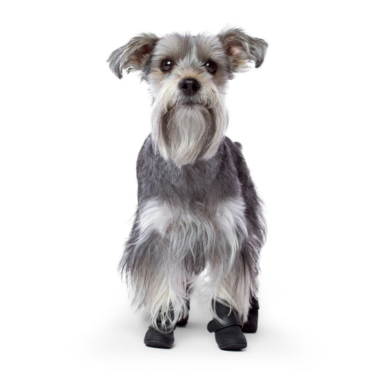Canada Pooch Wellies Boots Black for Dogs