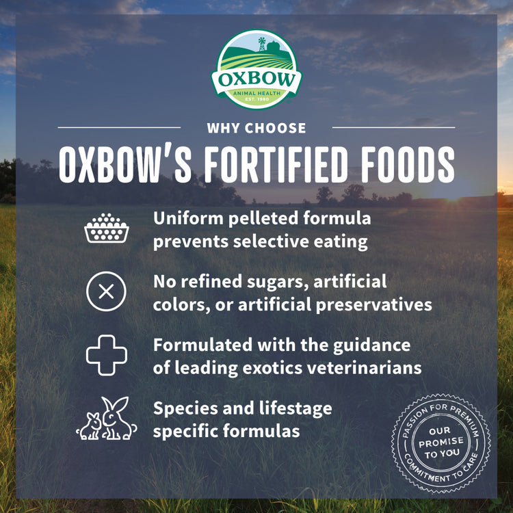 Oxbow Animal Health Essentials Hamster Food & Gerbil Food All Natural Hamster & Gerbil Food