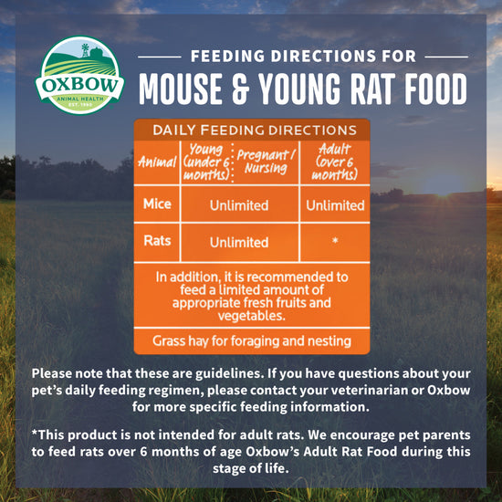Oxbow Animal Health Garden Select Mouse & Young Rat Food Garden Inspired Recipe for Young Rats & Mice Of All Ages