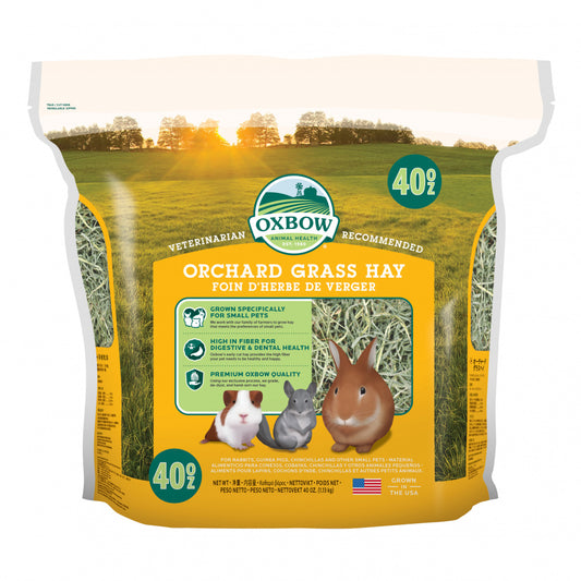 Oxbow Animal Health Orchard Grass Hay All Natural Grass Hay for Chinchillas Rabbits Guinea Pigs Hamsters & Gerbils