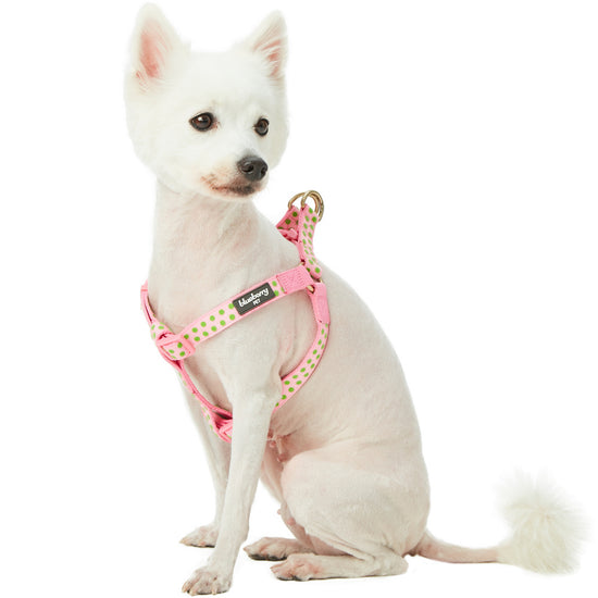 Blueberry Pet Step-in Velvety Polka Dot Baby Pink Flocking Dog Harness