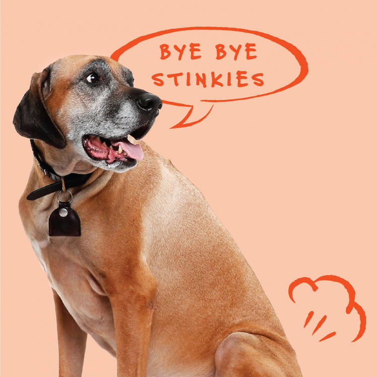 Bocce's Bakery Bye Bye Stinkies Soft & Chewy Dog Treats