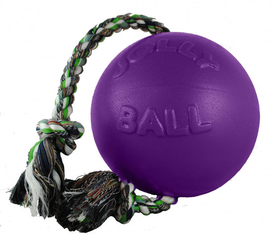 Jolly Pets Romp N Roll Purple Dog Toy