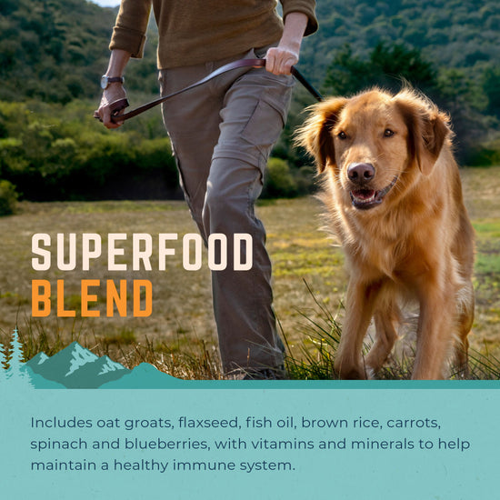Natural Balance L.I.D. Limited Ingredient Diets Beef & Brown Rice Formula Dry Dog Food