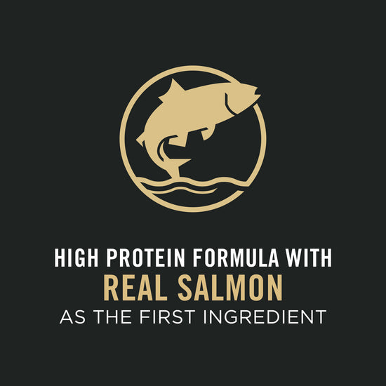 Purina Pro Plan Sensitive Stomach Sensitive Skin & Stomach Salmon & Rice Formula Dry Puppy Food