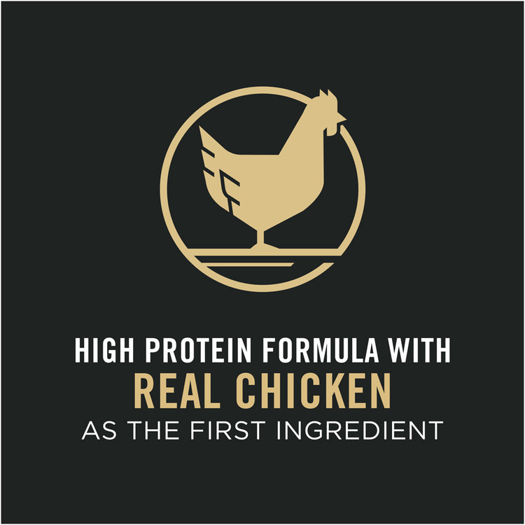 Purina Pro Plan Shredded Blend Chicken & Rice Formula With Probiotics High Protein Dry Cat Food