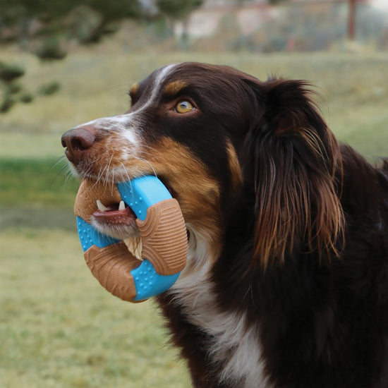 KONG CoreStrength Bamboo Ring Dog Toy