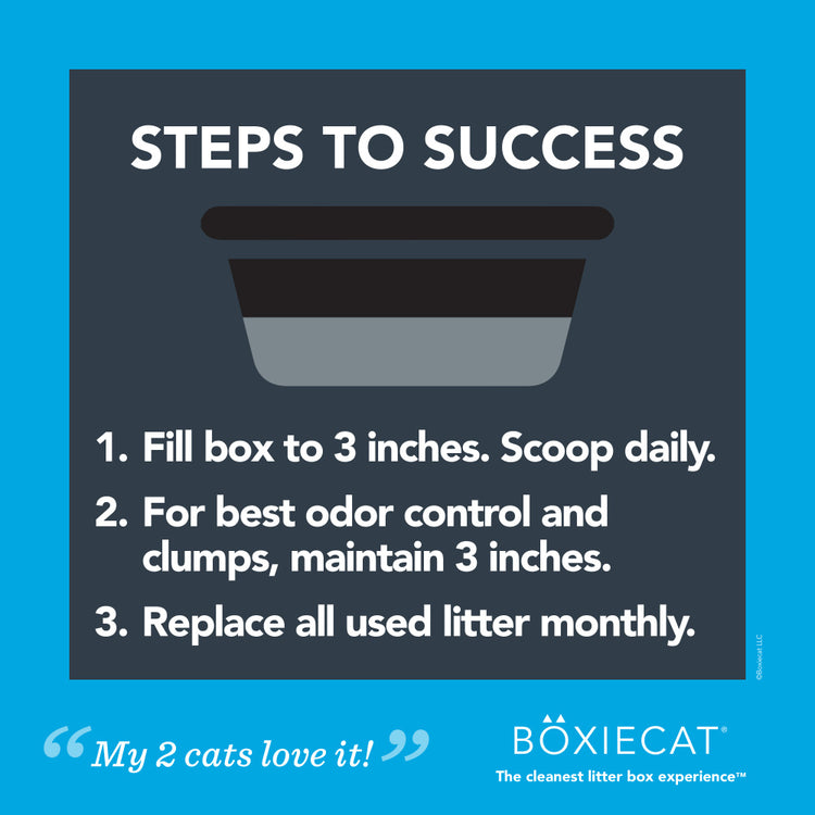 Boxiecat All Natural Scent Free Premium Clumping Clay Litter