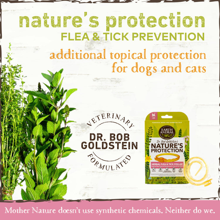 Earth Animal Nature's Protection Flea & Tick Prevention Herbal Collar for Cats
