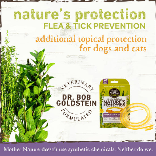 Earth Animal Nature's Protection Flea & Tick Prevention Herbal Collar for Large Dogs