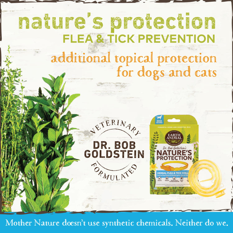 Earth Animal Nature's Protection Flea & Tick Prevention Herbal Collar for Medium Dogs