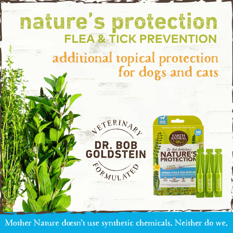 Earth Animal Nature's Protection Flea & Tick Prevention Herbal Spot-On for Medium Dogs