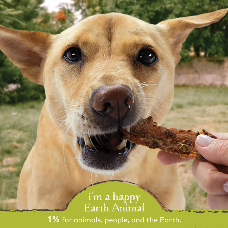 Earth Animal Tenders Flex Chicken Jerky Dog Treats